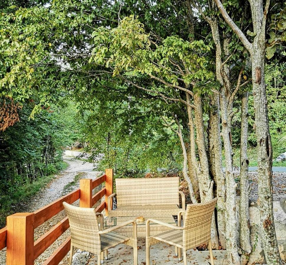 Apartmán Oasis Of Peace Cetinje Exteriér fotografie